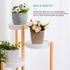 12cm Plant Pots Set of 3 - Sandstone Beige
